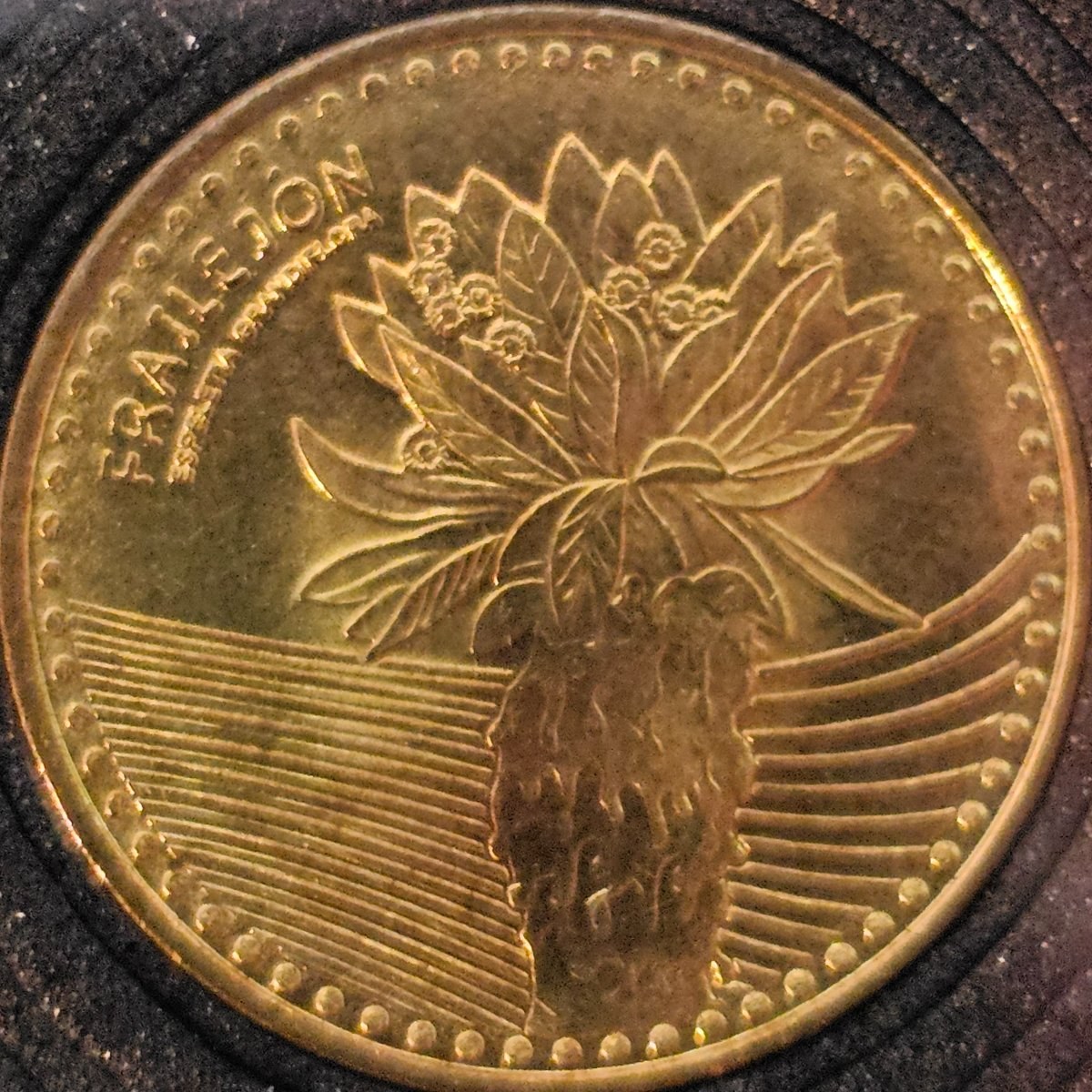 Reverso de 100 pesos