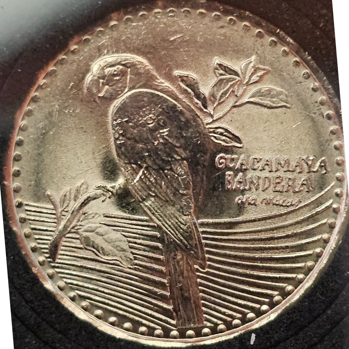 Reverso de 200 pesos, foto de Colección propia (Foto propia)
